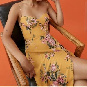 Reformation Juliette Dress in Angelica